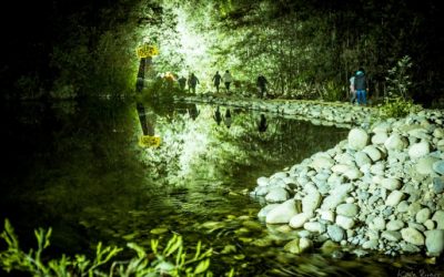 Festival | Woodstaco ’19: Una experiencia que todos deben vivir (pt. II)