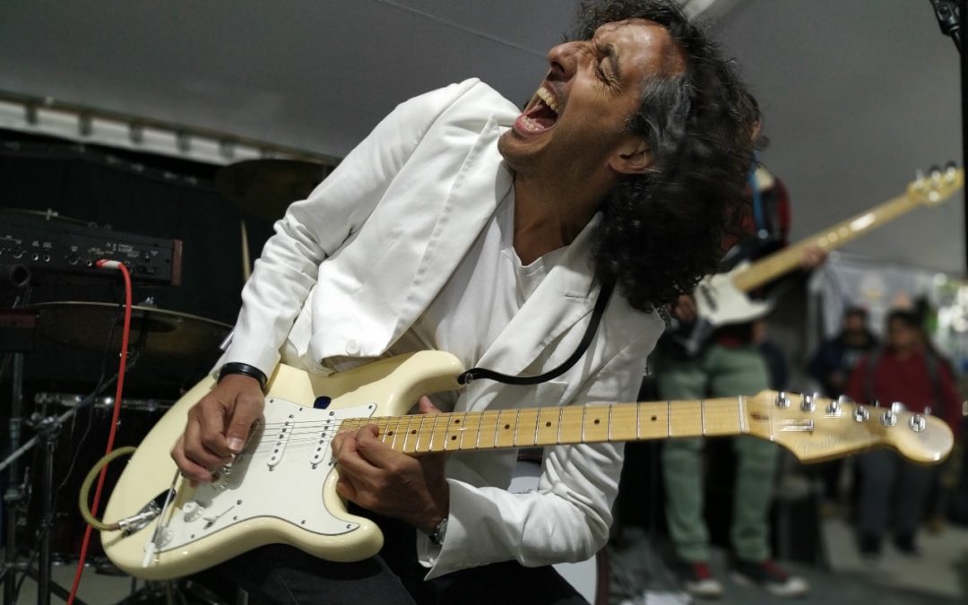 Artículos | Festival de Blues y Cerveza (#LagoRanco): ¿Vamos?