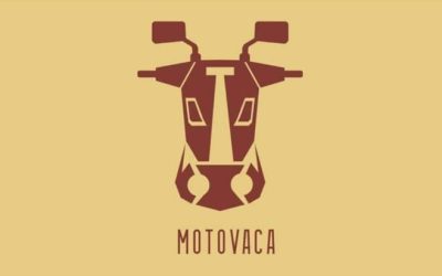 Track by Track | ‘Gringo sin plata’ el más reciente sencillo de la banda MOTOVACA