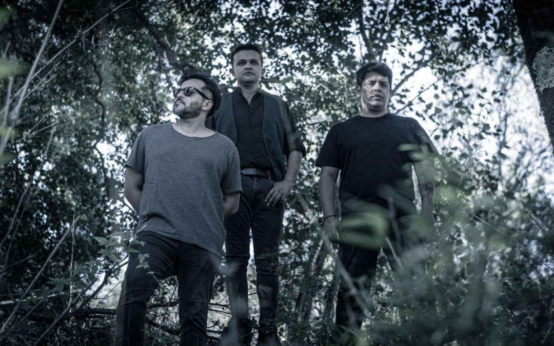 Track by Track | Osÿan publica ‘Bosque’