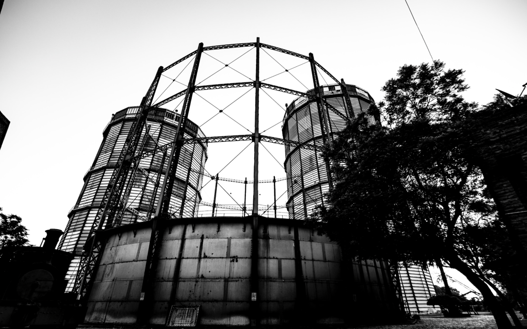 En vivo | Llega a Chile TMPLR