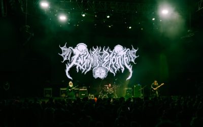 Track by Track | Insanity Storm estrena video en vivo