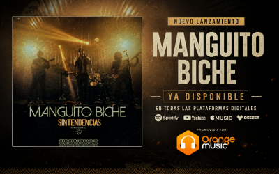 Track by Track | Sintendencias libera ‘Manguito Biche’